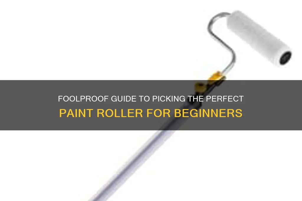 how to choose a paint roller dummies