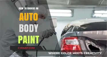 Choosing the Perfect Auto Body Paint: A Comprehensive Guide