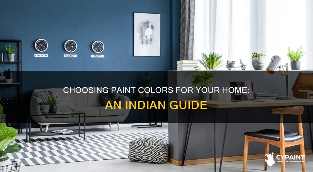how to choose paint colours for your home india