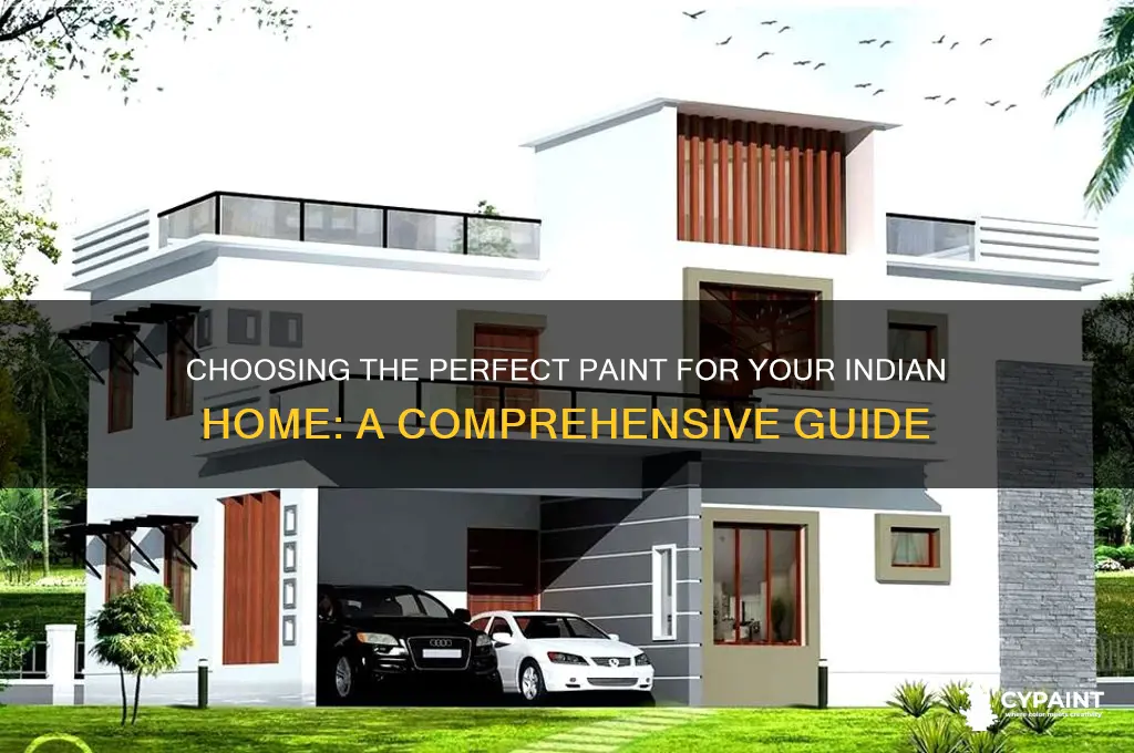 how to choose paint for home india