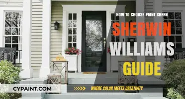 Choosing the Perfect Paint Sheen: A Sherwin-Williams Expert Guide