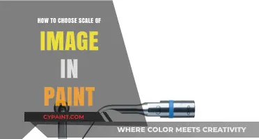 Mastering Image Scaling in Paint: Tips for Perfect Proportions
