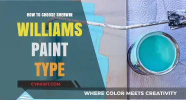 Choosing the Perfect Sherwin-Williams Paint Type for Your Project