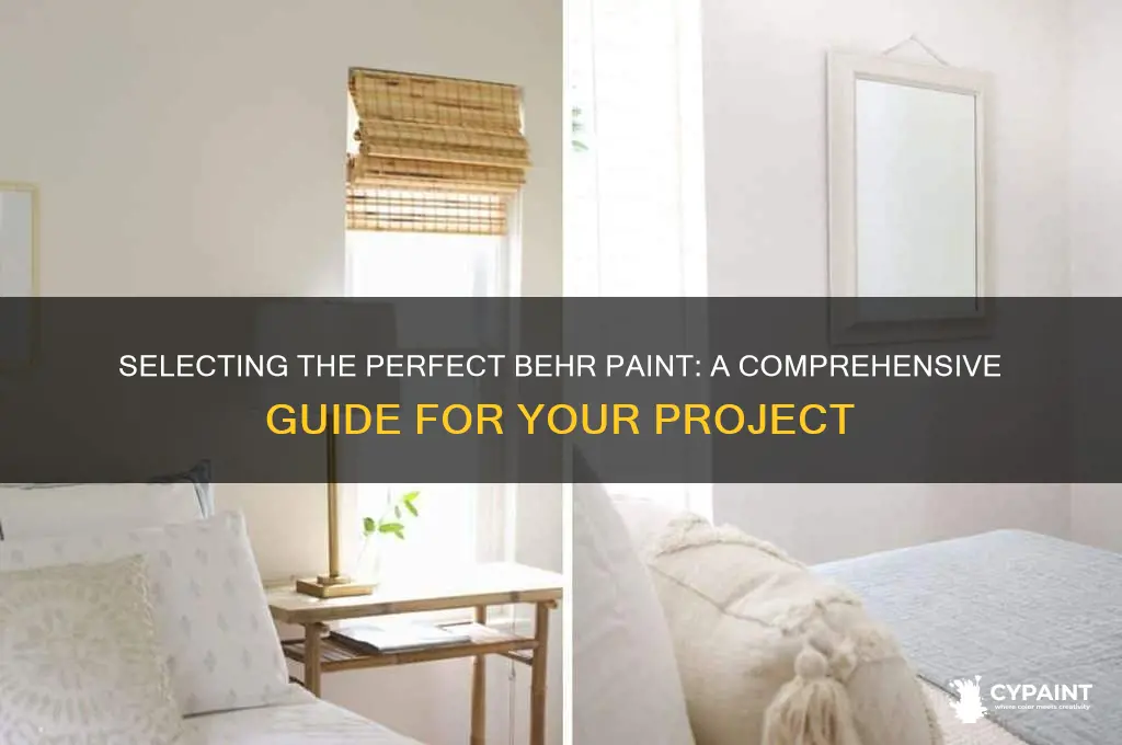 how to choose the right behr paint