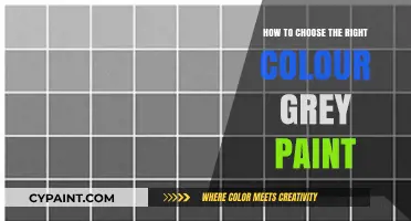 Choosing the Perfect Grey Paint: Tips for Your Ideal Shade