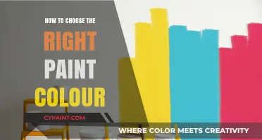 Choosing the Perfect Paint Color: A Step-by-Step Guide to Success