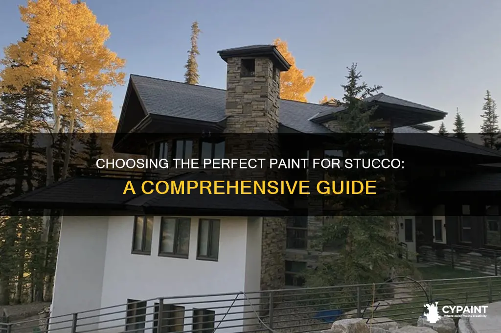 how to choose the right paint for stucco