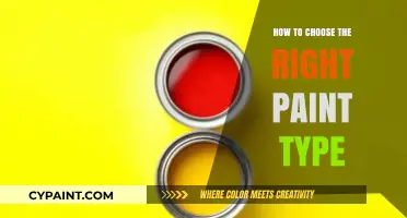 Choosing the Perfect Paint: A Guide to Selecting the Right Type