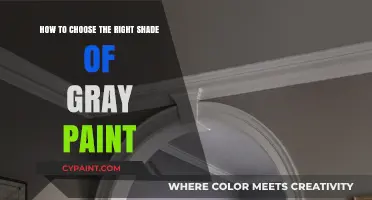 Gray Paint: Choosing the Perfect Shade for Your Home