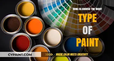 Selecting the Perfect Paint: A Comprehensive Guide to Types and Uses