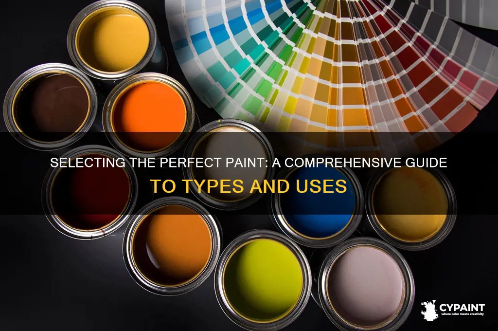 how to choose the right type of paint