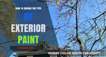 Choosing the Perfect Exterior Paint: A Comprehensive Guide for Homeowners
