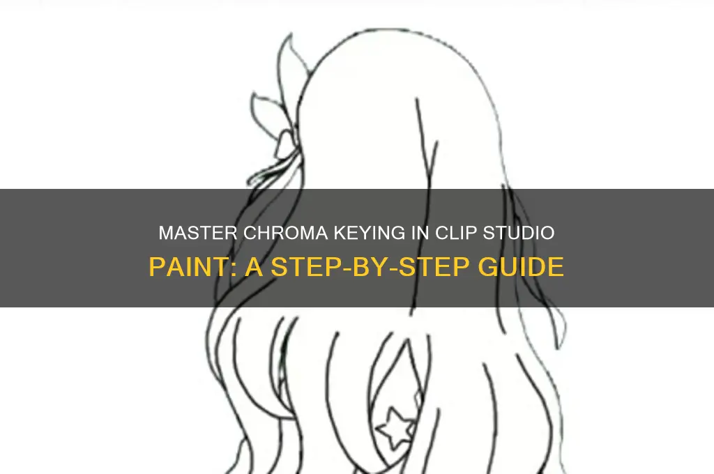 how to chroma key in clip paint