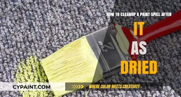 Effective Techniques for Removing Dried Paint Spills: A Step-by-Step Guide