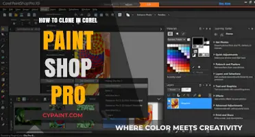 Master Cloning Techniques in Corel PaintShop Pro: A Step-by-Step Guide