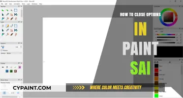 Mastering Paint Tool SAI: Quick Guide to Closing Options Efficiently