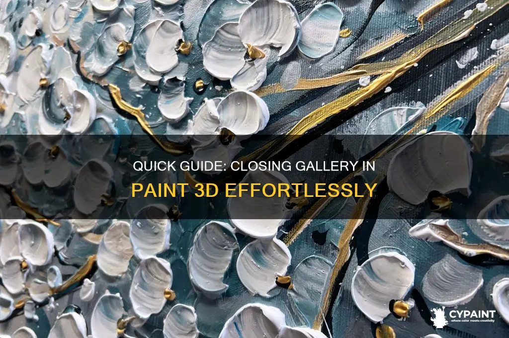 how to close the gallery paint 3d