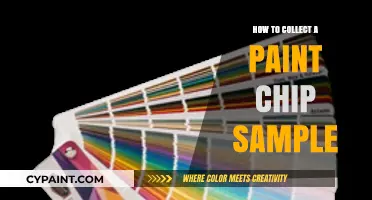 Mastering Paint Chip Sampling: A Step-by-Step Guide for Accurate Results