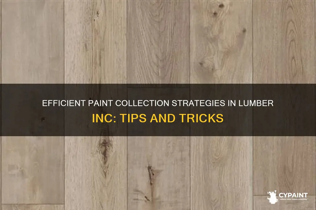 how to collect paint in lumber inc