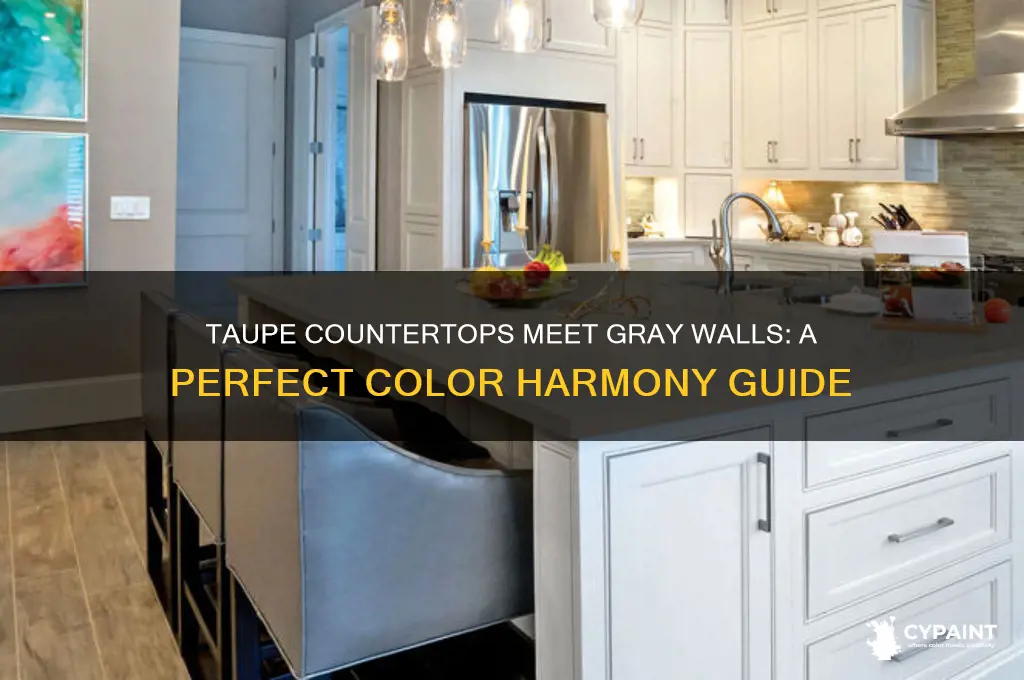 how to combine taupe countertop with gray paint