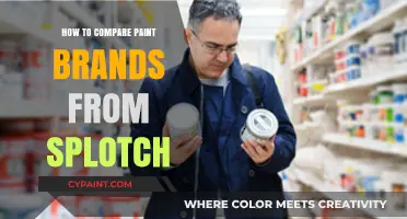 Splotch Paint Brand Comparison: Choosing the Best for Your Project