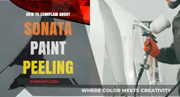 Effective Strategies to Complain About Sonata Paint Peeling Issues