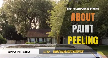 Hyundai Paint Peeling Complaint Guide: Steps to Resolve Your Issue