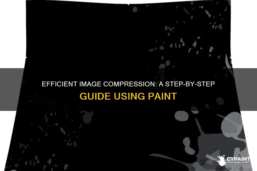 how to compress a image in paint