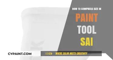 Efficiently Reduce File Size in Paint Tool SAI: A Step-by-Step Guide