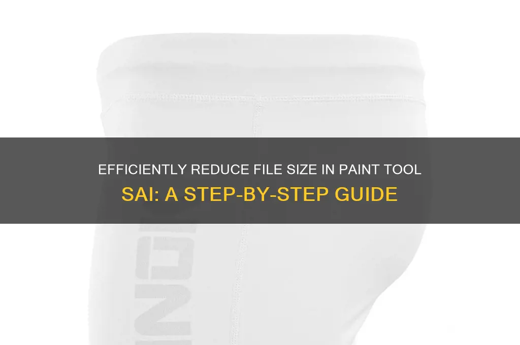 how to compress size in paint tool sai