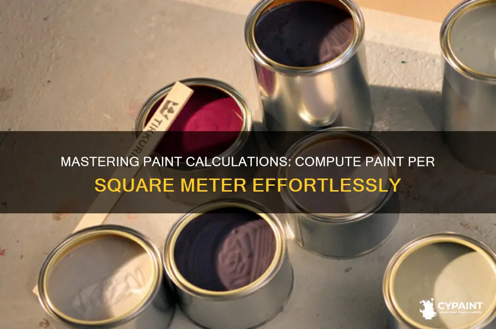 how to compute paint per square meter