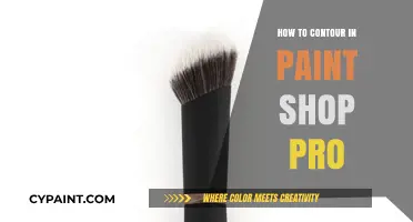 Master Contouring in Paint Shop Pro: Step-by-Step Guide for Beginners