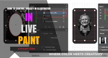 Exploring Live Paint Opacity Controls in Illustrator