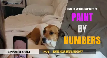 Transform Photos to Paint by Numbers Easily