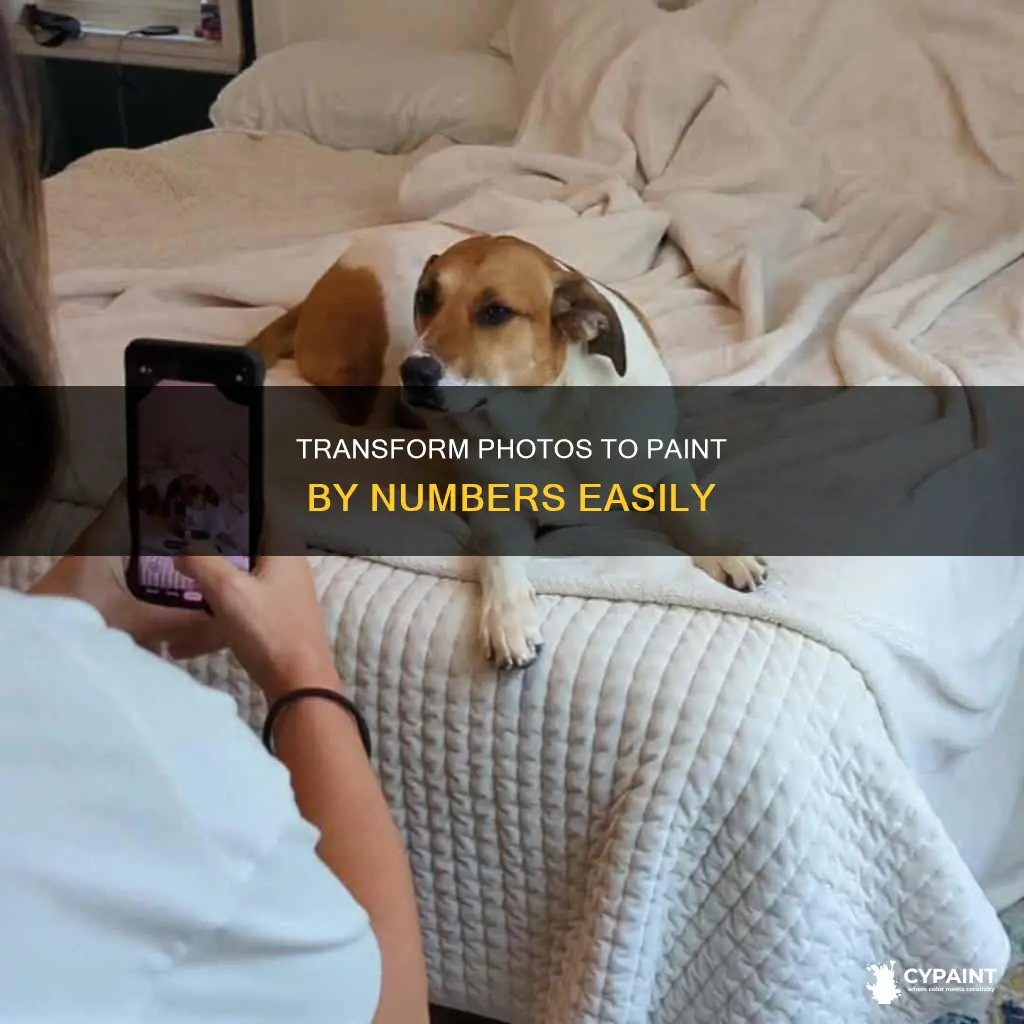 how to convert a photo to paint by numbers