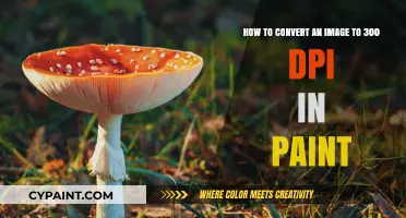 Convert Images to 300 DPI Easily Using Microsoft Paint