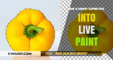 Mastering Adobe Illustrator: Transform Clipping Paths to Live Paint Effortlessly