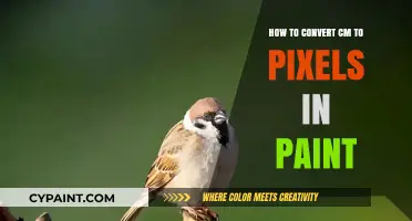Convert Centimeters to Pixels in Paint: A Quick Guide