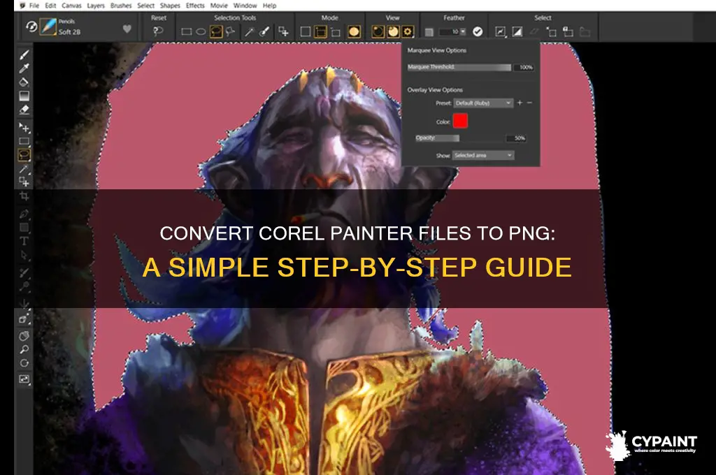 how to convert corel painter to png