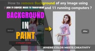 Removing Image Backgrounds with Paint: A Transparent Guide