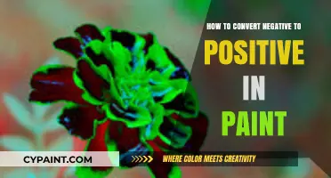 Transforming Negatives to Positives: A Step-by-Step Paint Conversion Guide