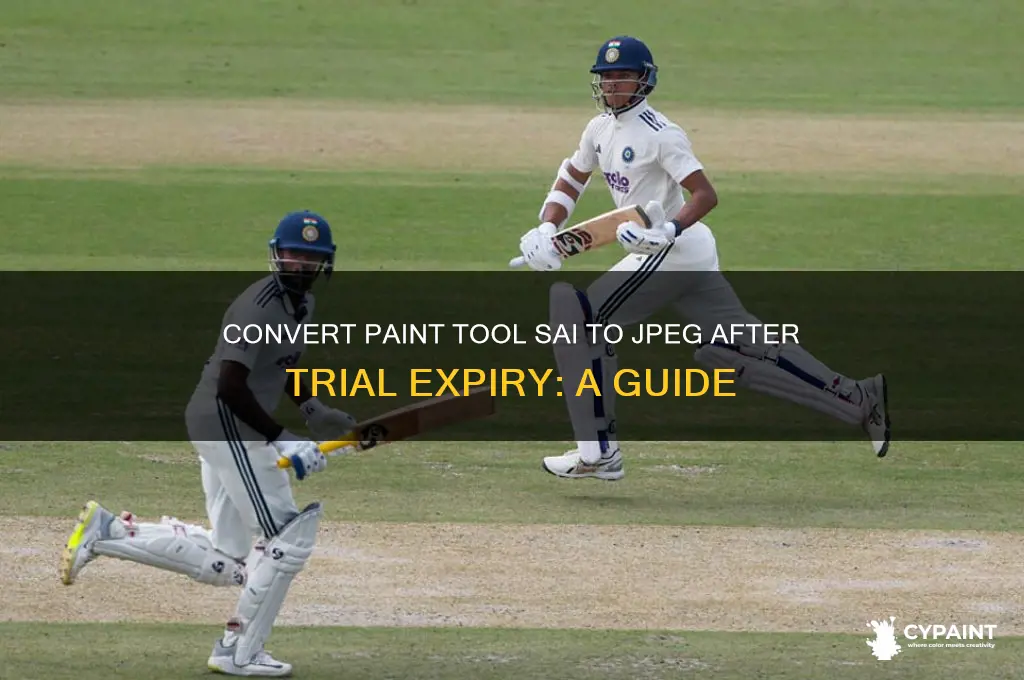 how to convert paint tool sai into jpeg expired trial