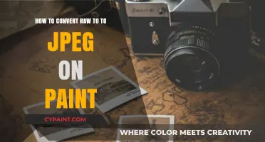 Converting RAW to JPEG Using Paint: A Quick Guide