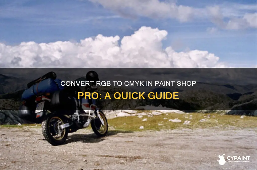how to convert rgb to cmyk in paint shop pro