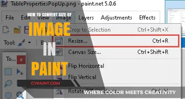 Easy Steps to Resize Images Using Microsoft Paint Tool