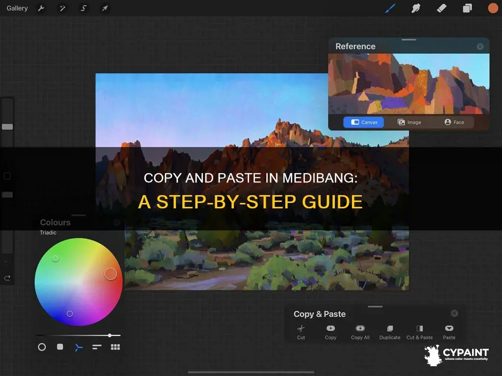 how to copie and paste in medibang paint pro