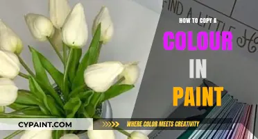 Mastering Color Duplication: A Simple Guide to Copying Colors in Paint