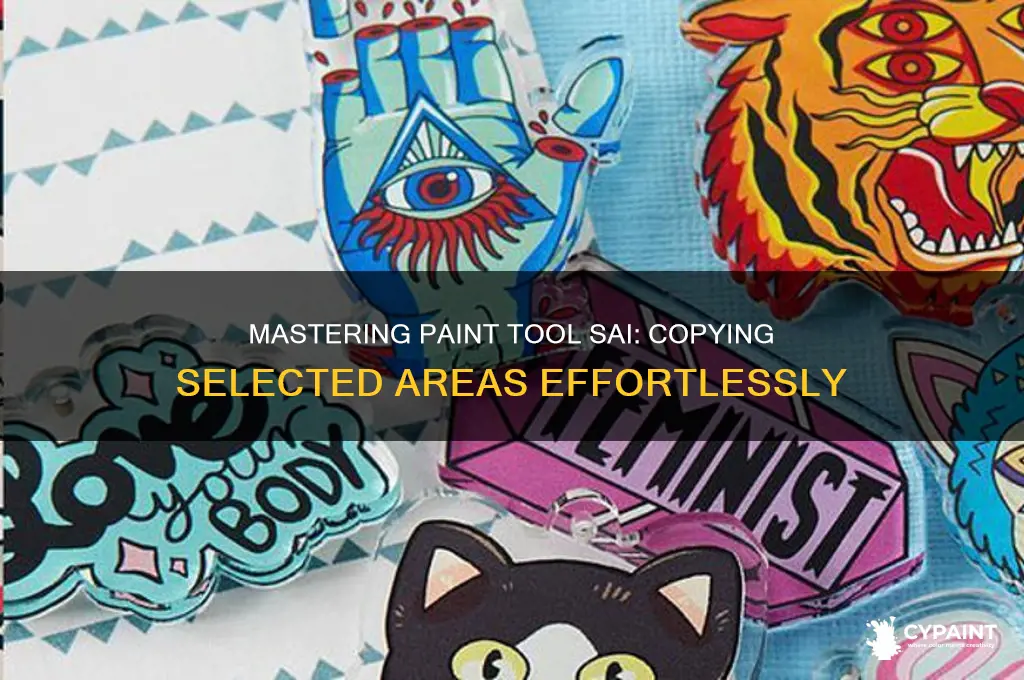 how to copy a selected area in paint tool sai