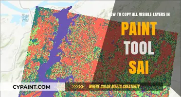 Copying Visible Layers in Paint Tool SAI: A Quick Guide