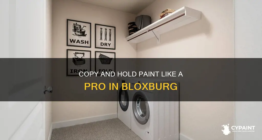 how to copy and hold the paint in bloxburg